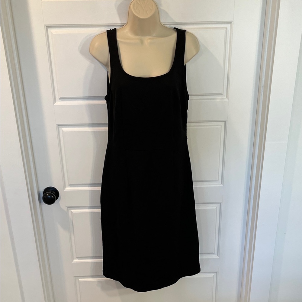 Tanya TayloR Dress